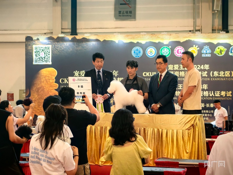 人生就是博：萌宠来袭！长春国际宠物展吸引千余携宠爱好者欢乐互动(图3)