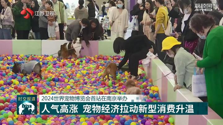 人生就是博：2024世界宠物博览会首站在南京举办(图5)