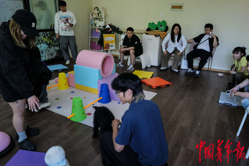 春日里的宠物聚会(图9)