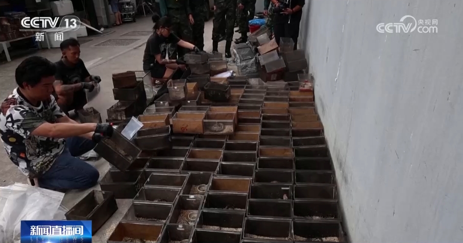 泰国曼谷一市场失火上千只待售宠物死亡(图2)