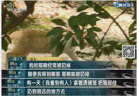 上海一小区二十多只猫狗离奇死亡疑似有人投毒警方已介入(图4)