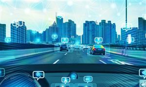 2024年宠物用品行业发展现状及发展趋势分析(图8)