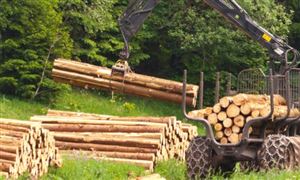 2024年宠物用品行业发展现状及发展趋势分析(图6)