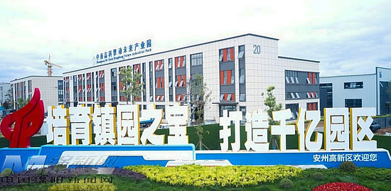 【安州区】高新区：锚定千亿园区打造产业高地(图2)