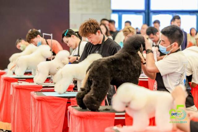 “铲屎官”的盛会来啦！2000+新品将亮相还有猫猫狗狗颜值大比拼！2024年亚宠展明日开幕(图4)