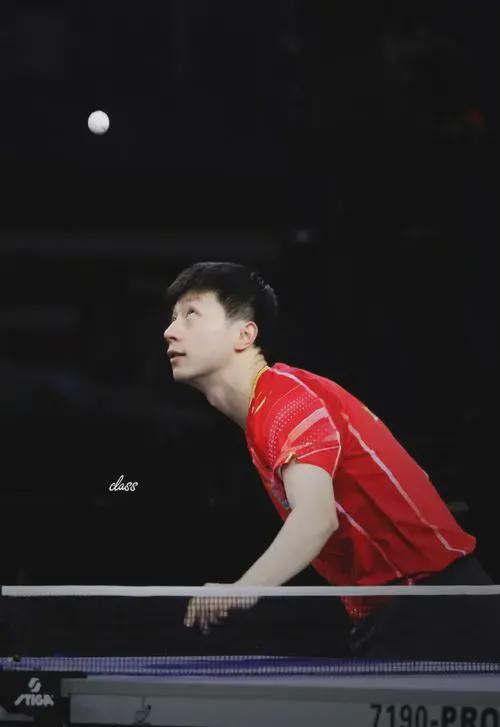 可喜可贺！奥运表彰大会樊振东发型超酷全红婵高跟鞋要掉了！(图4)