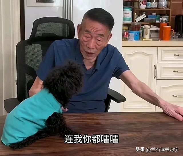 尊龙凯时网站：杨少华、杨伦父子拍回应梦真：明天咱俩一块给老五搬家去(图6)