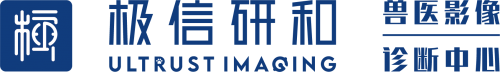 宠物医疗新风尚：极信研和引领兽医影像诊断未来(图1)
