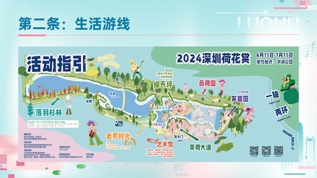 2024深圳荷花赏暨第二届荷美生活月火热来袭(图1)
