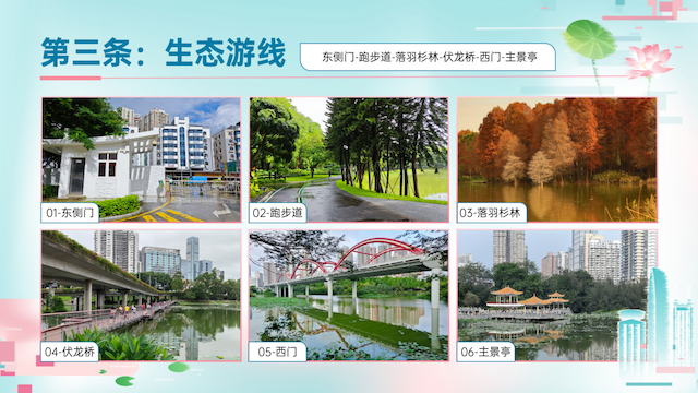2024深圳荷花赏暨第二届荷美生活月火热来袭(图3)