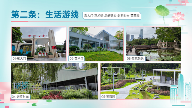 2024深圳荷花赏暨第二届荷美生活月火热来袭(图2)