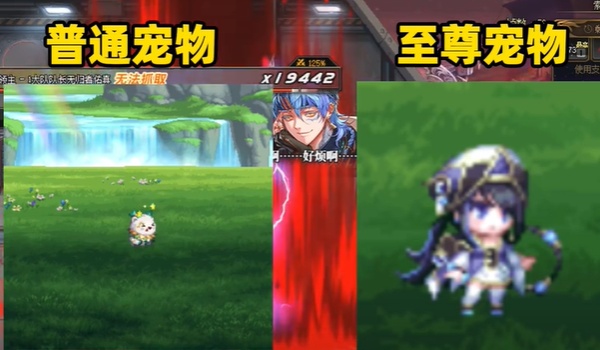 尊龙凯时网站：dnf2024春节宠物外观介绍(图1)