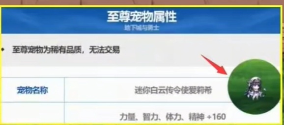 尊龙凯时网站：dnf2024春节宠物外观介绍(图2)