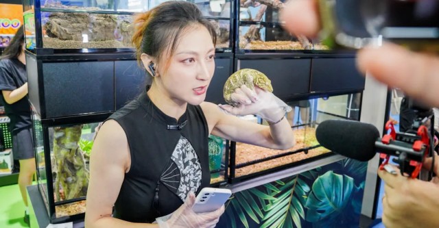 人生就是博：展讯动态丨REPTIZOO精彩亮相2024第28届中国国际宠物水族展览会(图4)