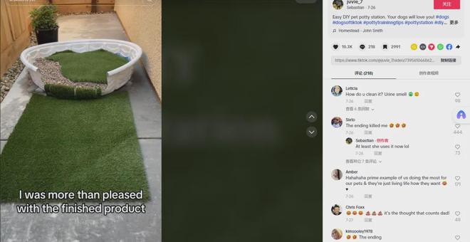 DIY小众产品赚大钱！个性化宠物用品增长跨境新赛道！(图2)
