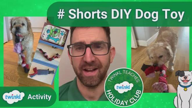 DIY小众产品赚大钱！个性化宠物用品增长跨境新赛道！(图16)