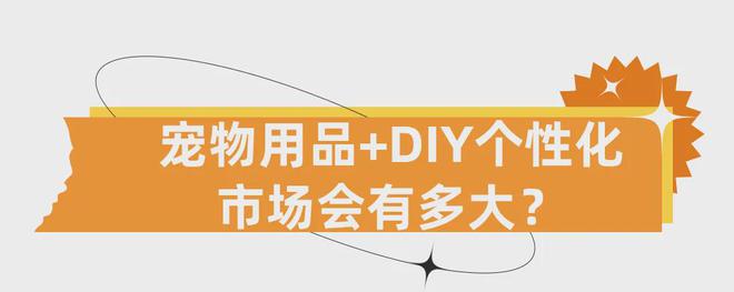 DIY小众产品赚大钱！个性化宠物用品增长跨境新赛道！(图1)