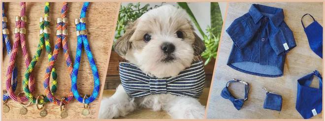 DIY小众产品赚大钱！个性化宠物用品增长跨境新赛道！(图7)