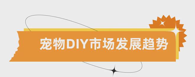 DIY小众产品赚大钱！个性化宠物用品增长跨境新赛道！(图6)