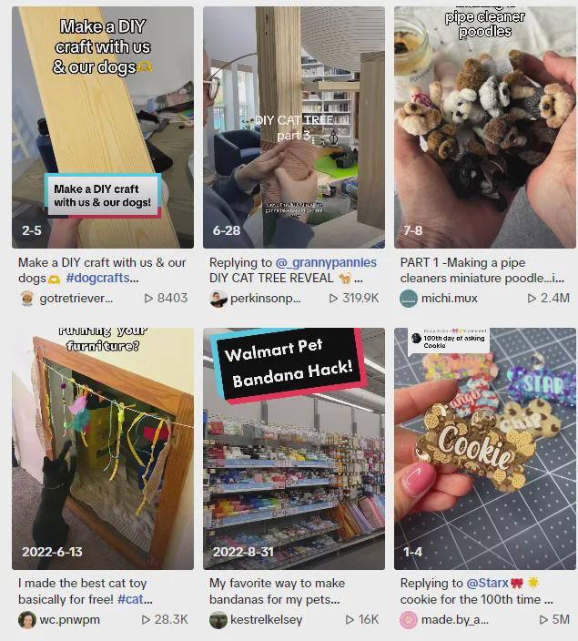 DIY小众产品赚大钱！个性化宠物用品增长跨境新赛道！(图3)