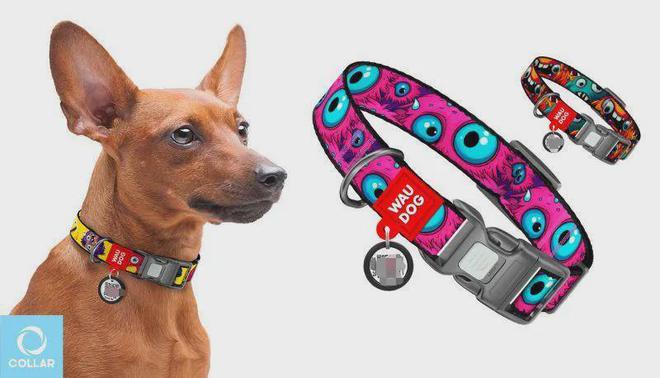 DIY小众产品赚大钱！个性化宠物用品增长跨境新赛道！(图10)