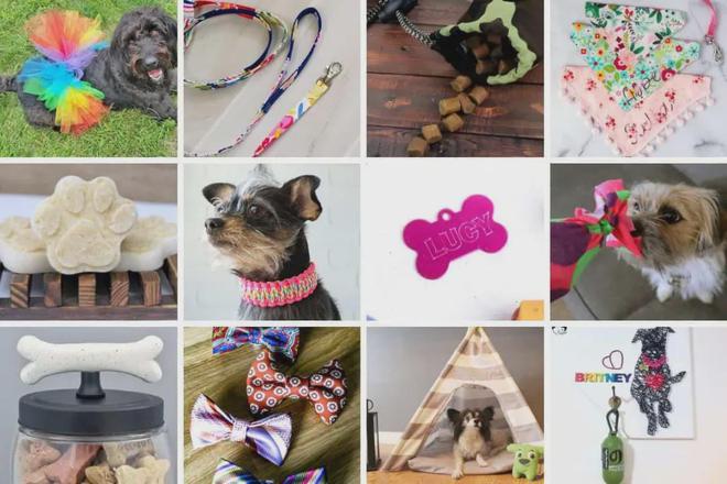 DIY小众产品赚大钱！个性化宠物用品增长跨境新赛道！(图8)