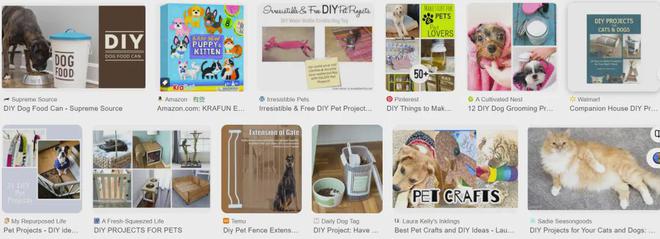 DIY小众产品赚大钱！个性化宠物用品增长跨境新赛道！(图13)