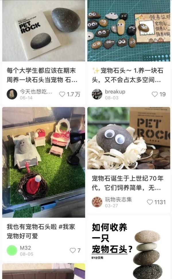 尊龙凯时网站：女子把牙膏当宠物给石头买衣服擦面霜网友：怀疑他们精神状态(图2)