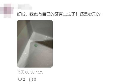 尊龙凯时网站：女子把牙膏当宠物给石头买衣服擦面霜网友：怀疑他们精神状态(图5)