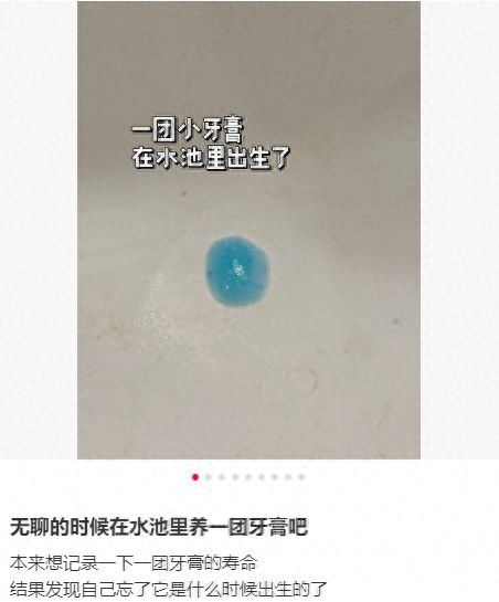 尊龙凯时网站：女子把牙膏当宠物给石头买衣服擦面霜网友：怀疑他们精神状态(图4)