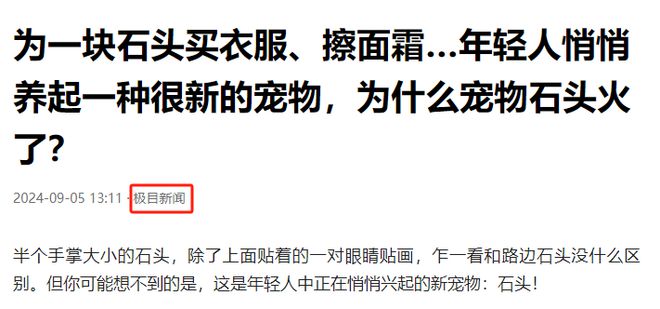 尊龙凯时网站：女子把牙膏当宠物给石头买衣服擦面霜网友：怀疑他们精神状态(图11)