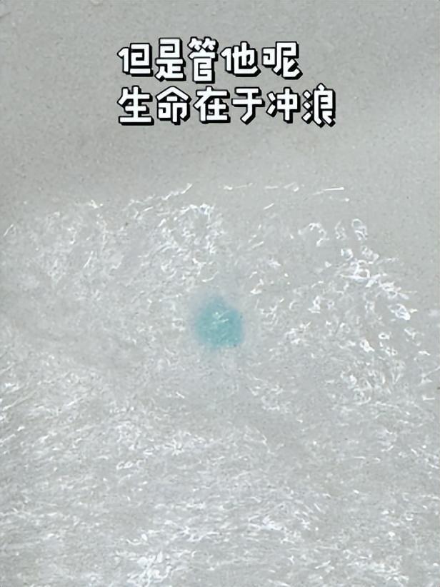 尊龙凯时网站：女子把牙膏当宠物给石头买衣服擦面霜网友：怀疑他们精神状态(图8)