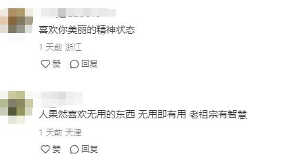 尊龙凯时网站：女子把牙膏当宠物给石头买衣服擦面霜网友：怀疑他们精神状态(图9)