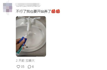 尊龙凯时网站：女子把牙膏当宠物给石头买衣服擦面霜网友：怀疑他们精神状态(图10)