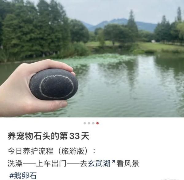 尊龙凯时网站：女子把牙膏当宠物给石头买衣服擦面霜网友：怀疑他们精神状态(图13)