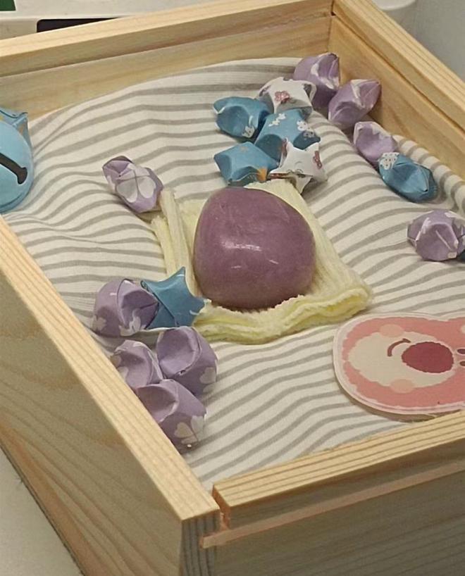 尊龙凯时网站：女子把牙膏当宠物给石头买衣服擦面霜网友：怀疑他们精神状态(图14)