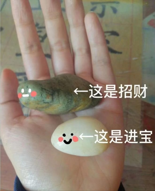 尊龙凯时网站：女子把牙膏当宠物给石头买衣服擦面霜网友：怀疑他们精神状态(图16)