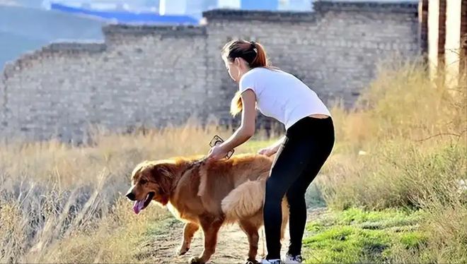 尊龙凯时网站：女子把牙膏当宠物给石头买衣服擦面霜网友：怀疑他们精神状态(图18)