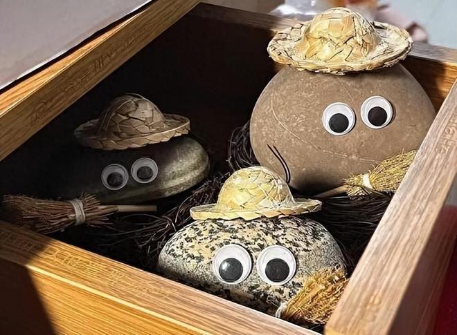 尊龙凯时网站：女子把牙膏当宠物给石头买衣服擦面霜网友：怀疑他们精神状态(图17)