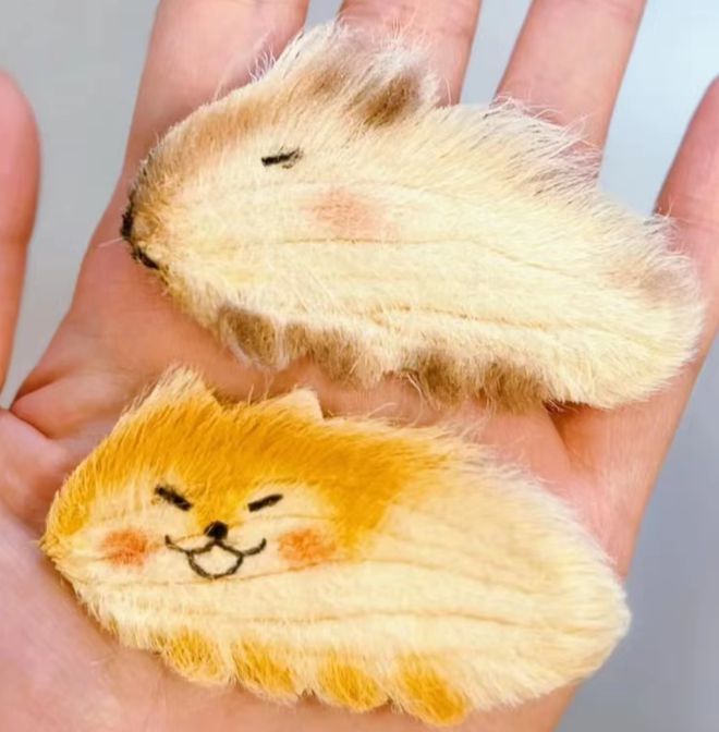 尊龙凯时网站：女子把牙膏当宠物给石头买衣服擦面霜网友：怀疑他们精神状态(图21)