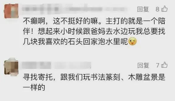尊龙凯时网站：女子把牙膏当宠物给石头买衣服擦面霜网友：怀疑他们精神状态(图22)