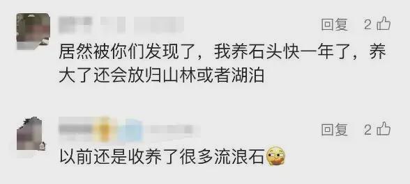 尊龙凯时网站：女子把牙膏当宠物给石头买衣服擦面霜网友：怀疑他们精神状态(图23)