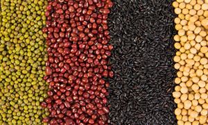 尊龙凯时网站：宠物服饰行业分析：国产品牌影响力较弱行业发展空间较大(图6)