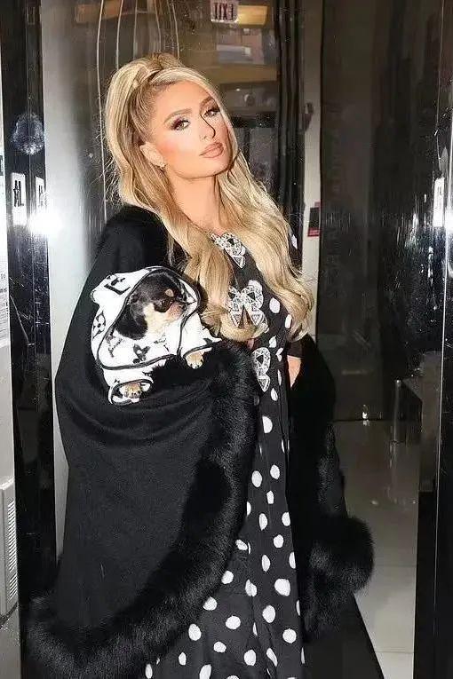 尊龙凯时网站：小可爱们的时髦秘籍！(图5)