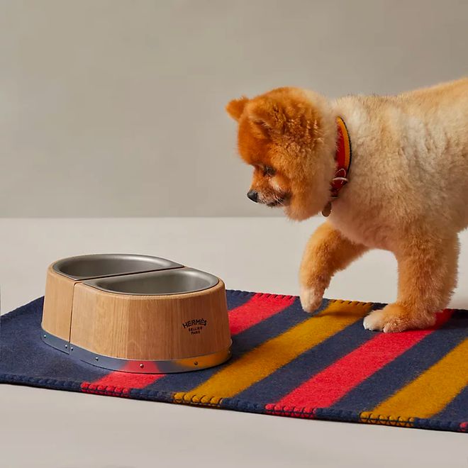 尊龙凯时网站：小可爱们的时髦秘籍！(图9)