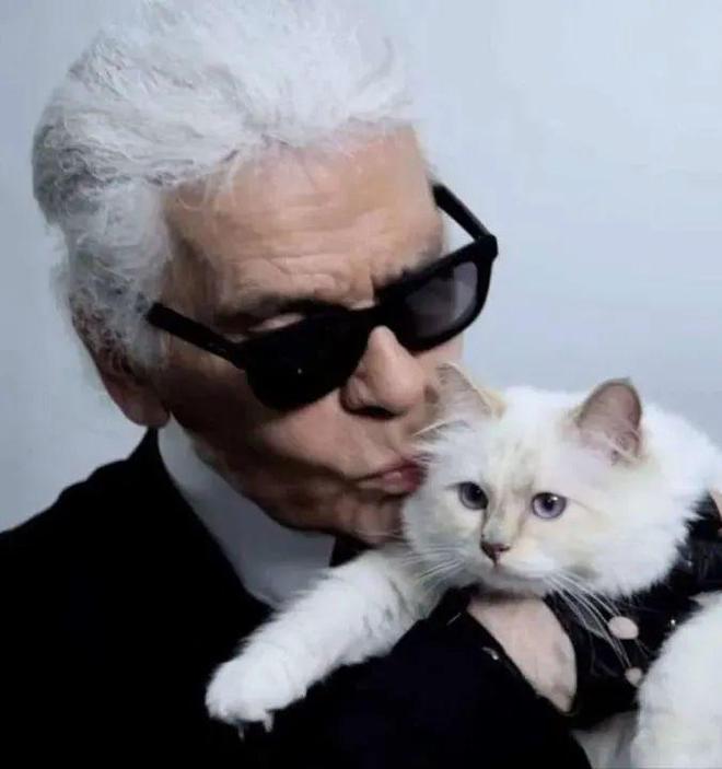 尊龙凯时网站：小可爱们的时髦秘籍！(图8)