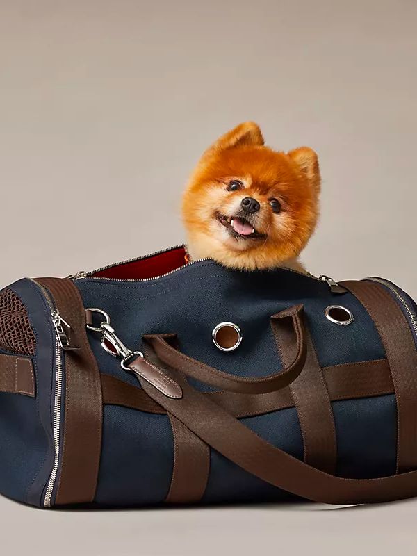 尊龙凯时网站：小可爱们的时髦秘籍！(图10)