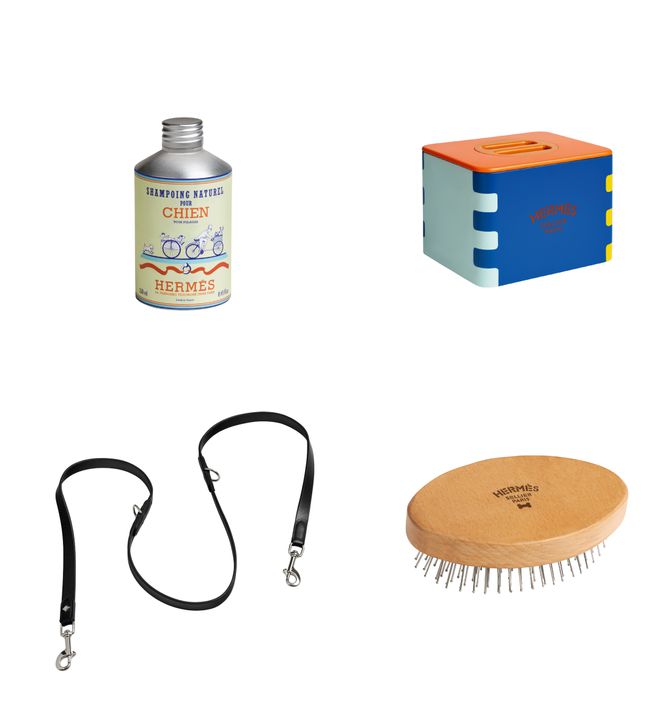 尊龙凯时网站：小可爱们的时髦秘籍！(图12)