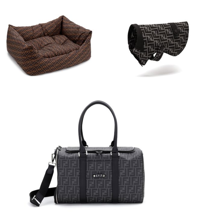 尊龙凯时网站：小可爱们的时髦秘籍！(图16)