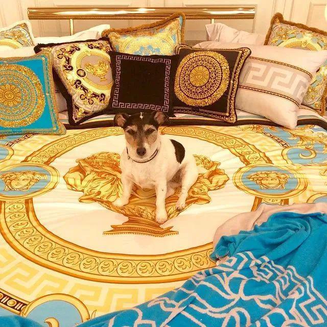 尊龙凯时网站：小可爱们的时髦秘籍！(图15)